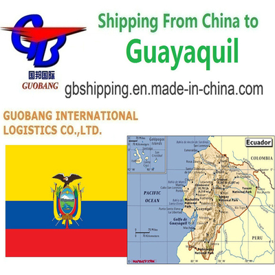 Beste verzendservices van naar Guayaquil met Sq Air Shipping en Co/Fa/Fe/FF Add-on Service