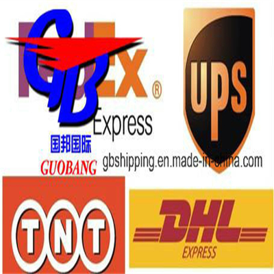 Guobang Guobang International Logistics Co. Zeevervoer Werkt goed met Msk UPS Verzending van naar Frankrijk