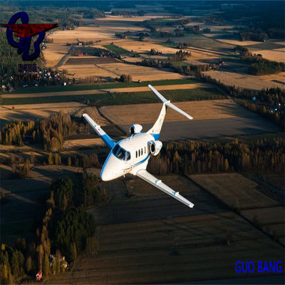 Guobang Leading Shipping Company Expresslevering vanuit Duitsland met CIQ/CO/FORM A/SOSA/CCPIT VERVERIFIED