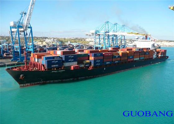 De beste internationale expediteur/zeevracht van China naar Jamaica/KINGSTON