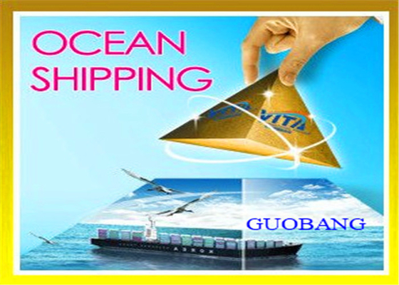 Gratis Opslagdiensten Qingdao China Douaneafhandeling