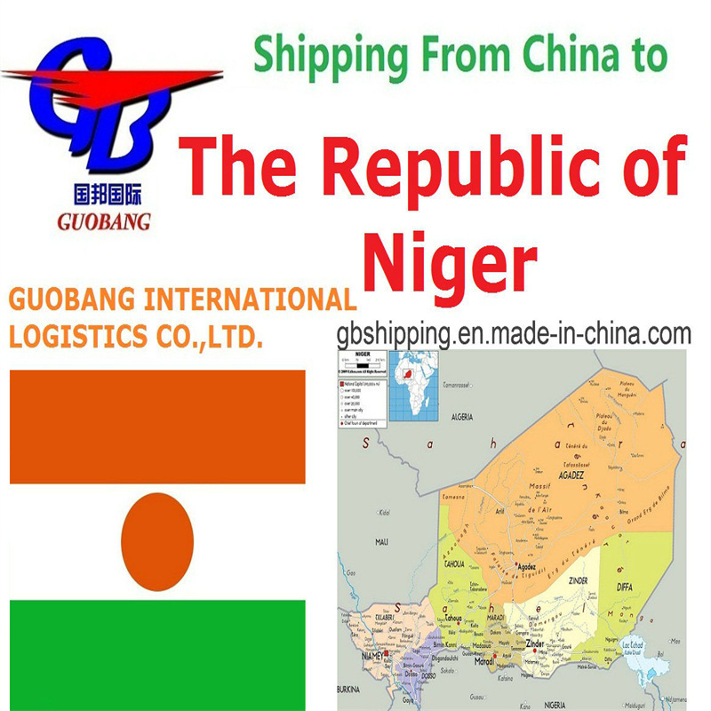 Algemene vrachtvervoer vanuit de Republiek Niger met CZ Air Transport Services