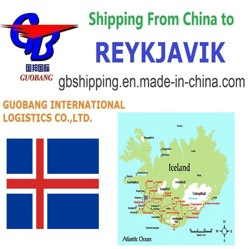DHL Express Service Snelle en Veilige Verzending van en naar Reykjavik met SGS Rapport Toevoeging