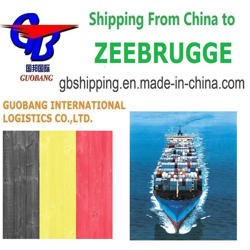 Gemakkelijke en aanpasbare scheepvaartdiensten van naar Zeebrugge België Luchtvaart Zeevracht LCL FCL Koerier