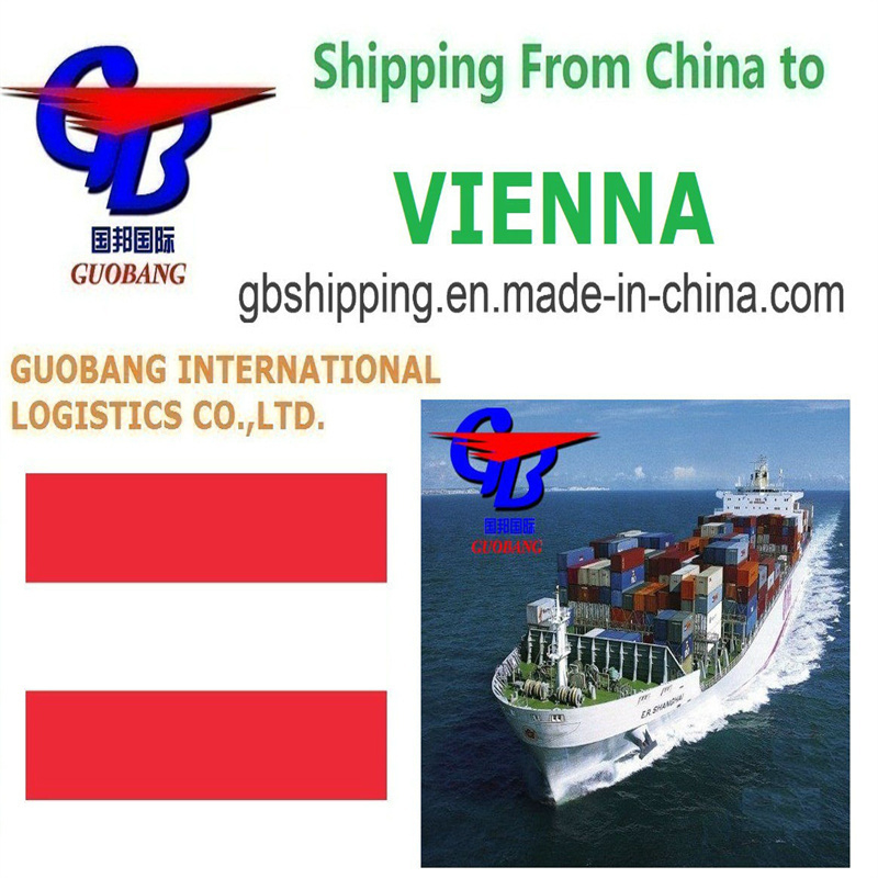 De douane-afhandeling is gemakkelijker voor uw B2B-zending van Wenen naar Shenzhen/HK//Shanghai/Tianjin