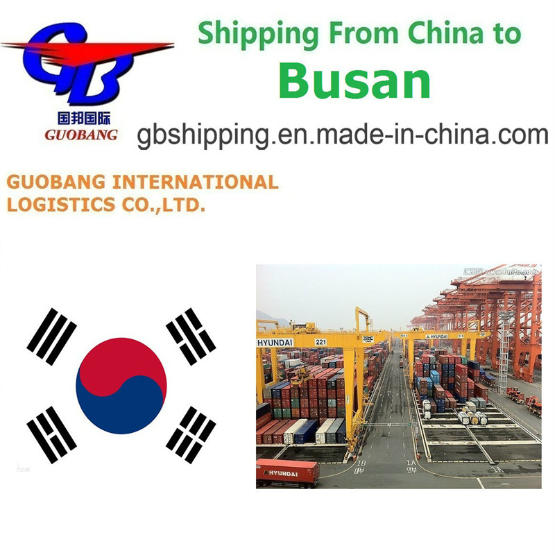Dagelijks vertrek Beste scheepvaartdiensten van Busan naar Korea Totaal aanbod 1000teu/maand