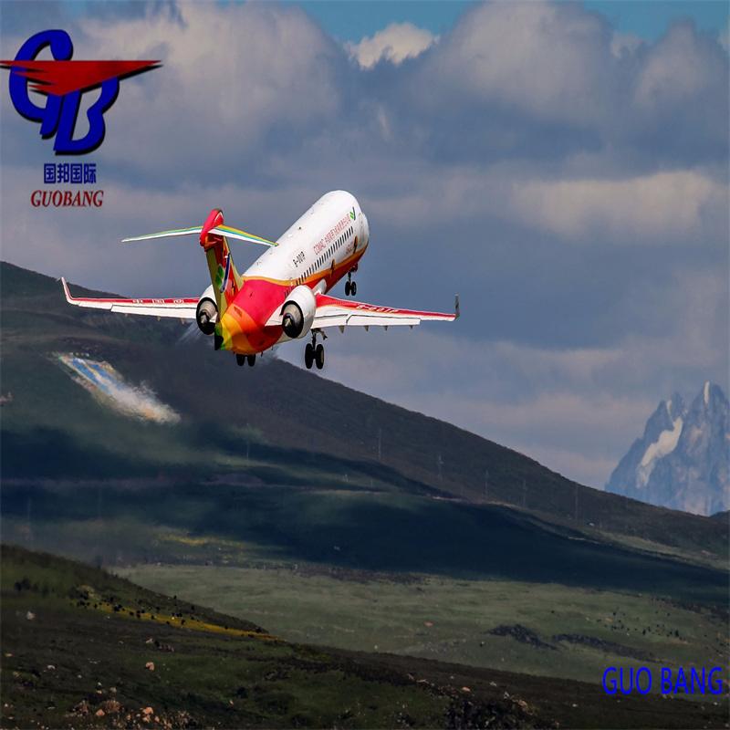 Douaneafhandeling Zee- Luchtvracht Verzendservice Van naar Japan RF Vertrouwde en Betaalbare Verzending