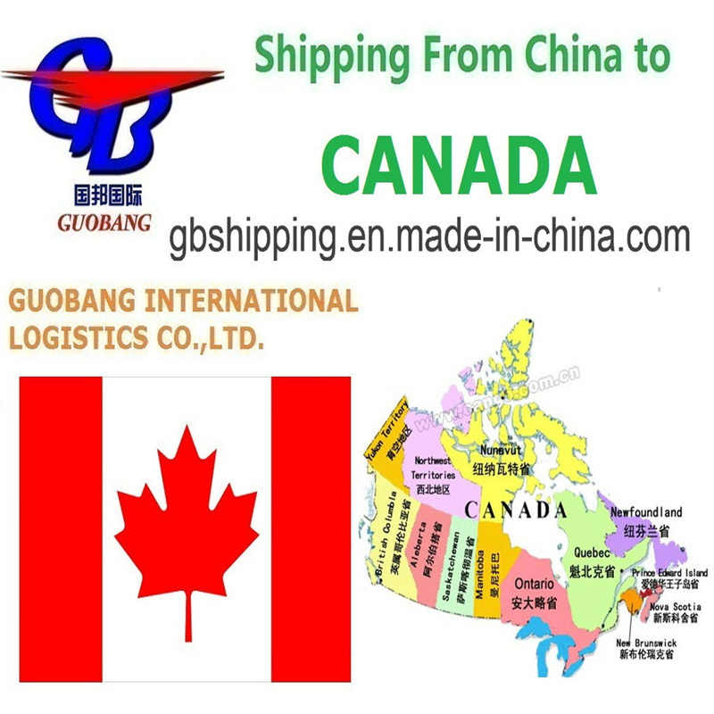 Totale aanbod 1000teu/maand Verzenddiensten Van naar Canada One-stop service Boeking-Ophalen-Douaneafhandeling-Aan boord