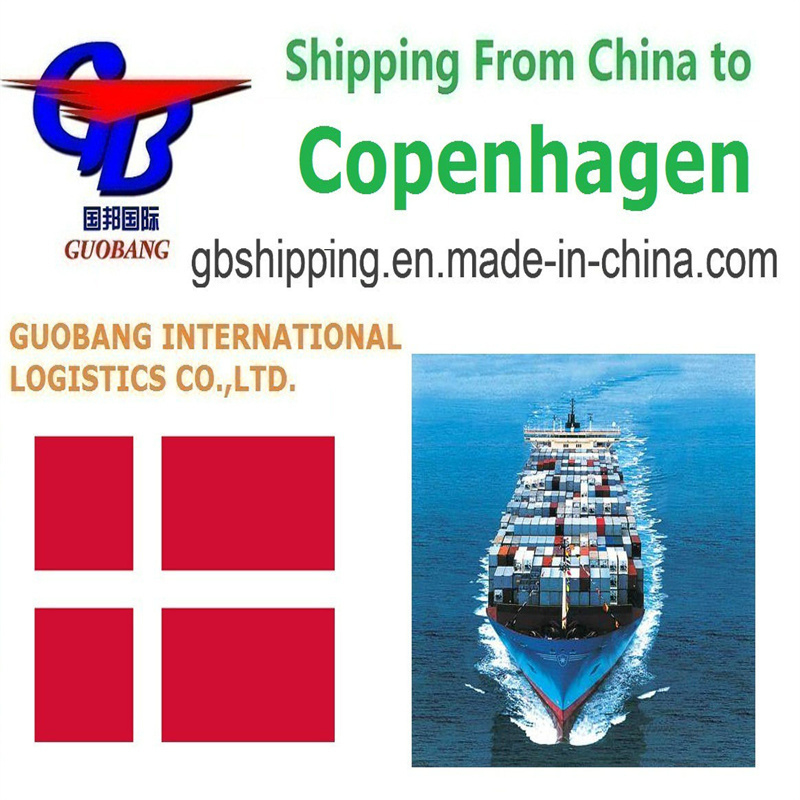 Beste verzendoplossing van Kopenhagen naar Kopenhagen Express Service met DHL en totale levering van 1000teu/maand