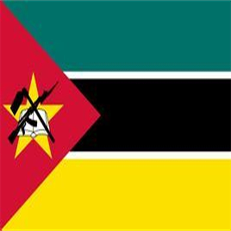 Handige verzending van naar Mozambique per luchtvracht Extra Service Co/Fa/Fe/FF Express Service UPS