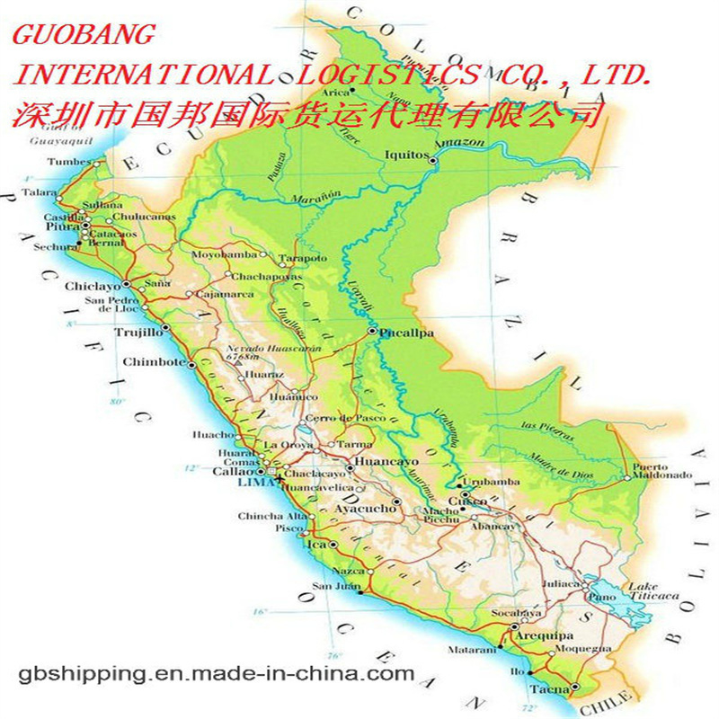Afhalen van leveranciers naar haven/opslagplaats Verzending van naar Peru per zee met DHL Express Service
