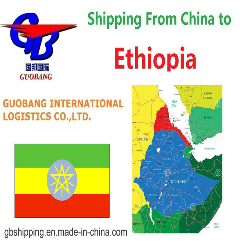 40GP Container luchtvrachtdiensten van Ethiopië naar Ethiopië SGS-rapport opgenomen voor zekerheid en tijdige levering