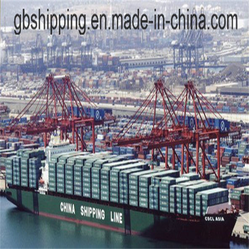 Douaneafhandeling Douanebemiddeling met DG en LCL of FCL Containerlogistiek naar Santos Brazilië vanuit Shenzhen