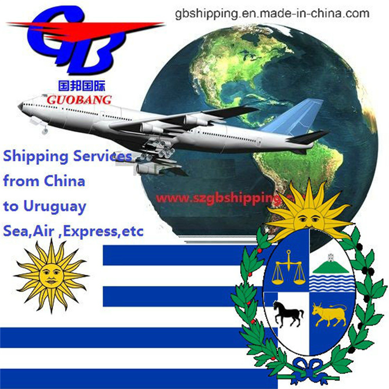 Handige en Professionele Luchtvrachtservice van naar Uruguay Eén Stop Boeking Ophalen Douaneafhandeling