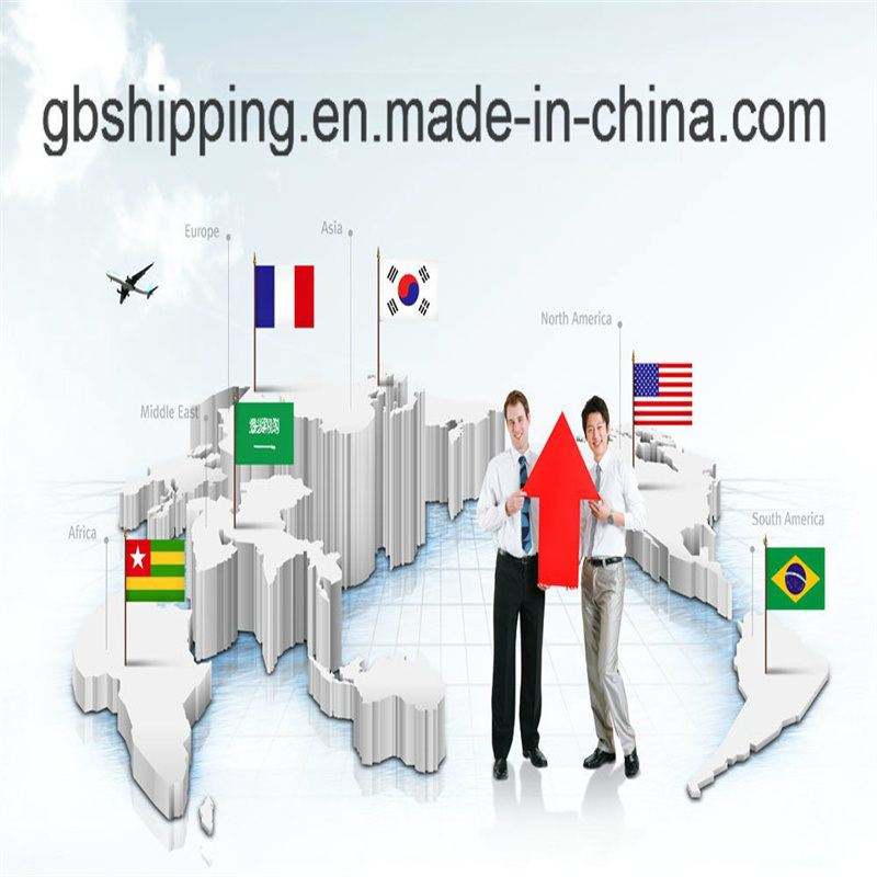 Containervervoer van naar Wereldwijd Onze geloofwaardigheid SGS geverifieerd en met een totaal aanbod van 8000-10000 kg