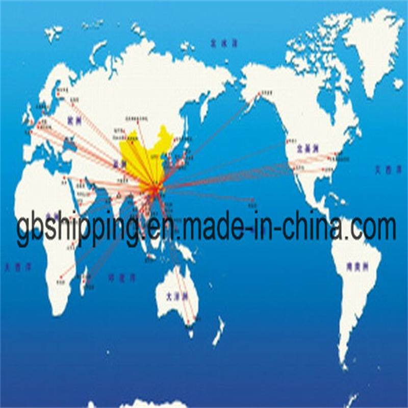 RH Zeevrachtverzending van naar Vitoria Brazilië Maatwerk voor Uw Unieke Vereisten