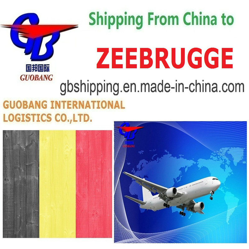 Goedkope luchtvrachtdiensten van Zeebrugge Trucking pick-up van leveranciers naar haven/ magazijn