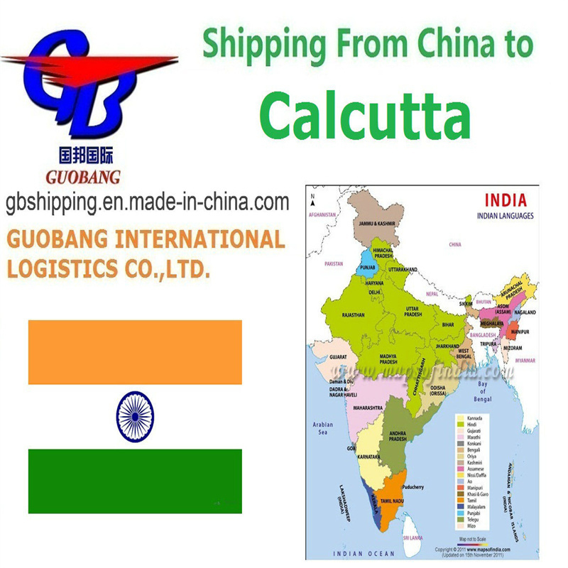 Veilige en tijdige luchtvervoerdiensten voor 40GP-containers van Calcutta naar India