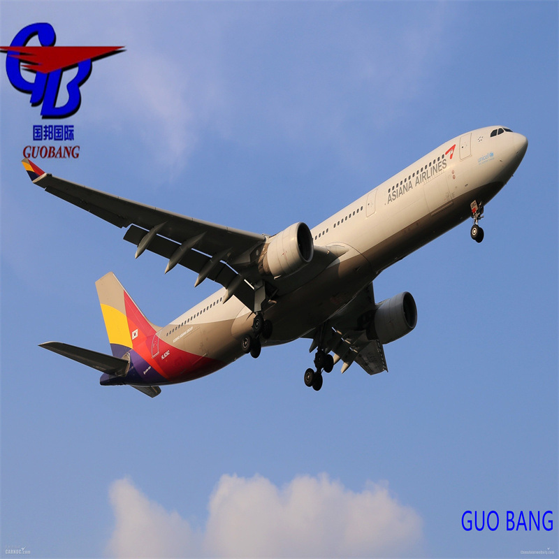 Combineer zending van verschillende leveranciers naar Parijs Lyon Le Havre Nantes Frankrijk met speciale dienst van Guobang Shipping